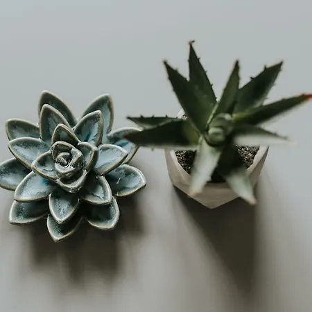 Appartement 3 - Blizej Zdroju Polanica-Zdrój