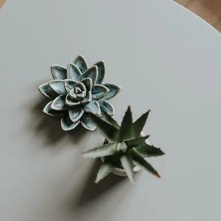 3 - Blizej Zdroju Appartement *