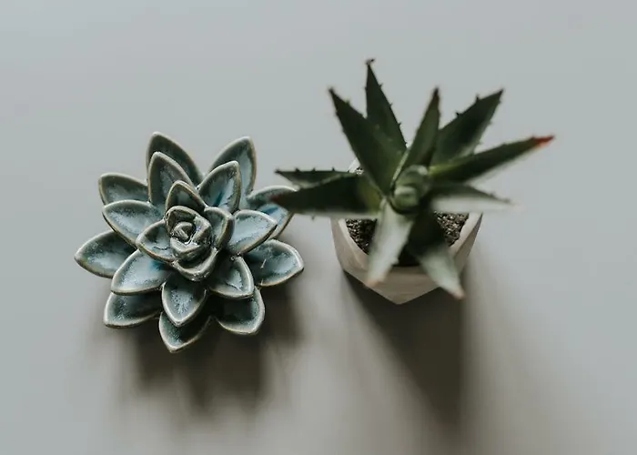 Appartamento 3 - Blizej Zdroju Polanica-Zdrój