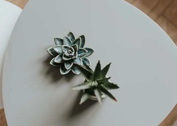 3 - Blizej Zdroju Appartamento *